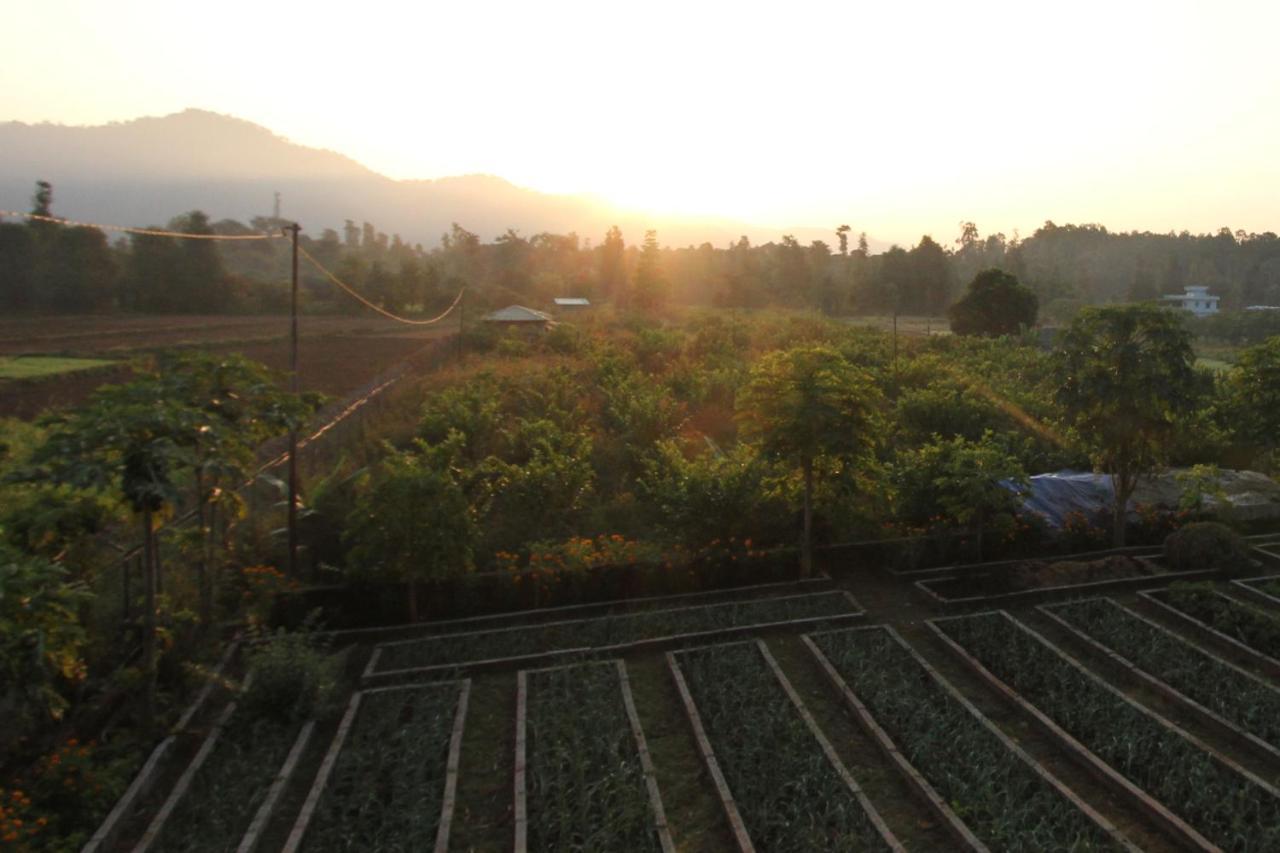 Forest Side Farm - Homestay At Kotabagh Near Nainital And Jim Corbett Luaran gambar