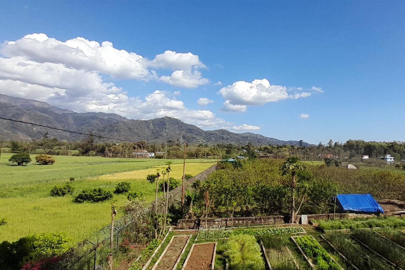 Forest Side Farm - Homestay At Kotabagh Near Nainital And Jim Corbett Luaran gambar